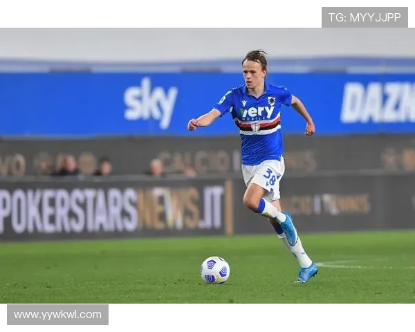 达姆斯高足球潜力 达姆斯高足球潜力