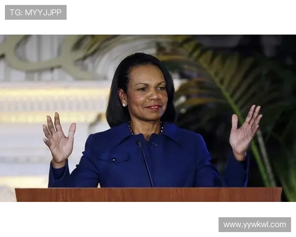 赖斯技术全面性 赖斯技术全面性